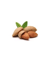Mandorle con guscio BIO - Sacco